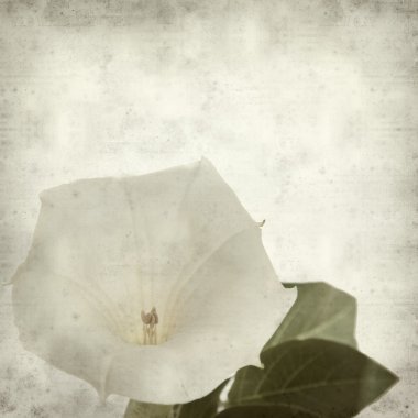 desenli eski kağıt arkaplan