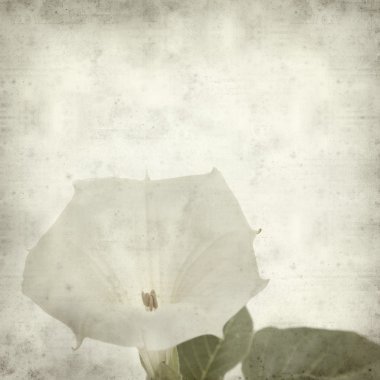 desenli eski kağıt arkaplan