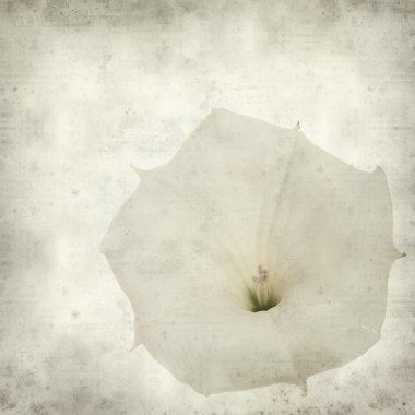 desenli eski kağıt arkaplan