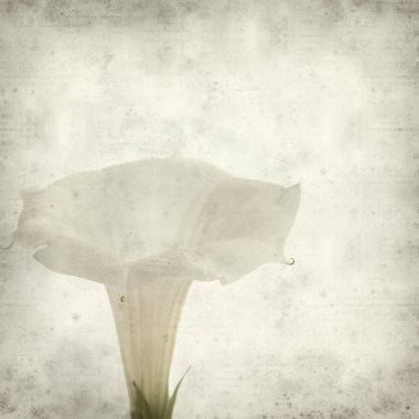 desenli eski kağıt arkaplan