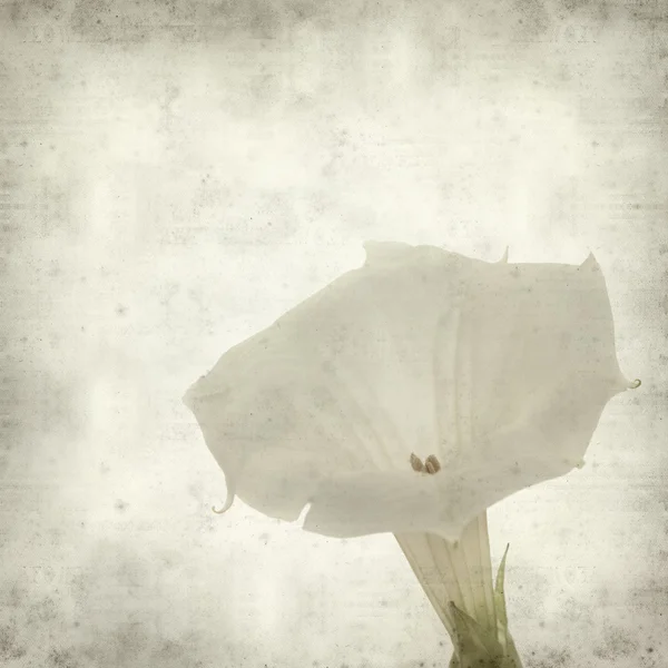 desenli eski kağıt arkaplan