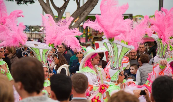 SANTA CRUZ, ESPAÑA - 12 de febrero: Desfile de participantes en colorido — Foto de Stock