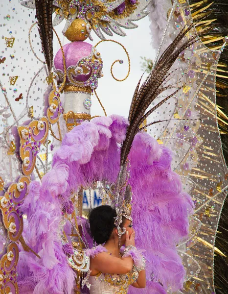 SANTA CRUZ, SPAIN - February 12: Parade participants in colorful — Stock Photo, Image