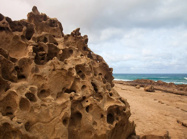 Erodovaná západního pobřeží fuerteventura — Stock fotografie