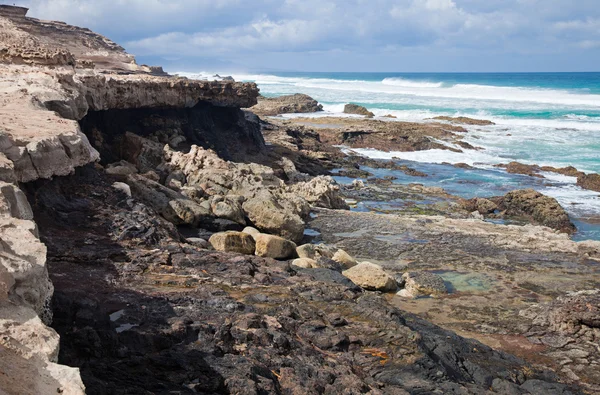 Eroderad västkusten i fuerteventura — Stockfoto