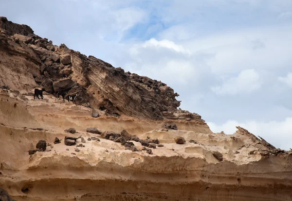 Costa oeste erodida de Fuerteventura — Fotografia de Stock