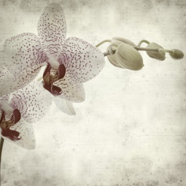 desenli eski kağıt arkaplan