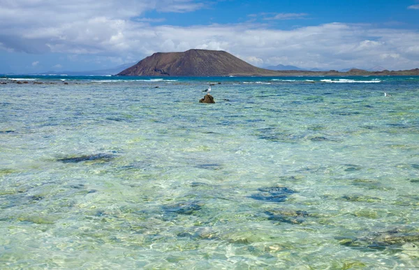 Norra fuerteventura, corraejo flagg-stranden — Stockfoto