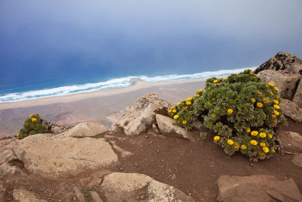 Zuidelijke fuerteventura, jandia — Stockfoto