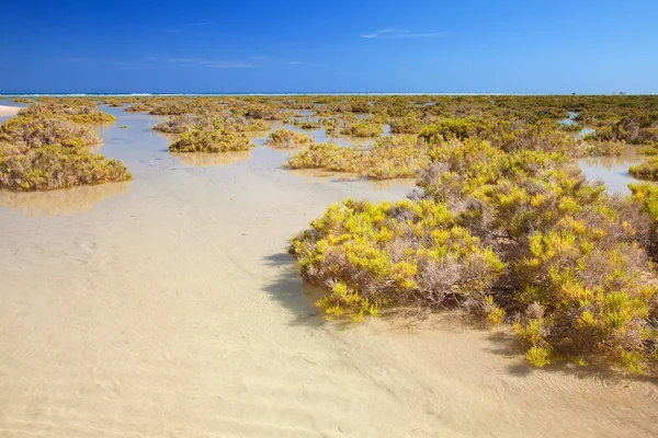 Southern Fuerteventura, Jandia — Stock Photo, Image