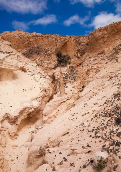 Interior Norte de Fuerteventura — Foto de Stock