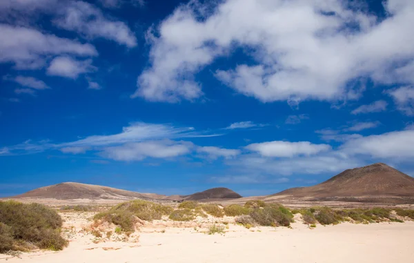 Binnenland noorden fuerteventura — Stockfoto