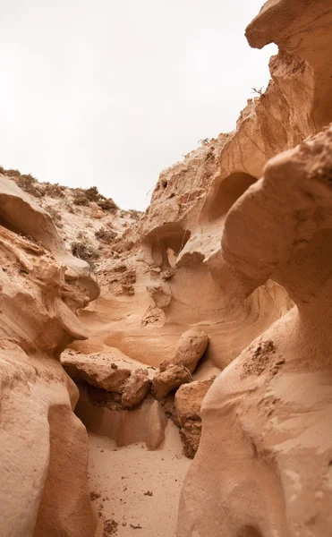 Norra inre fuerteventura, barranco de los enamorados — Stockfoto