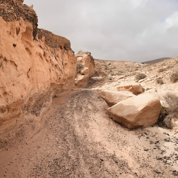 Norte de Fuerteventura Interior, barranco de los enamorados —  Fotos de Stock