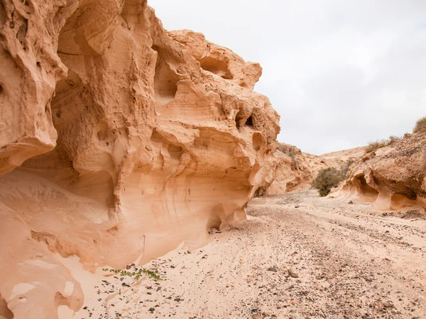 Norte de Fuerteventura Interior, barranco de los enamorados — Fotografia de Stock