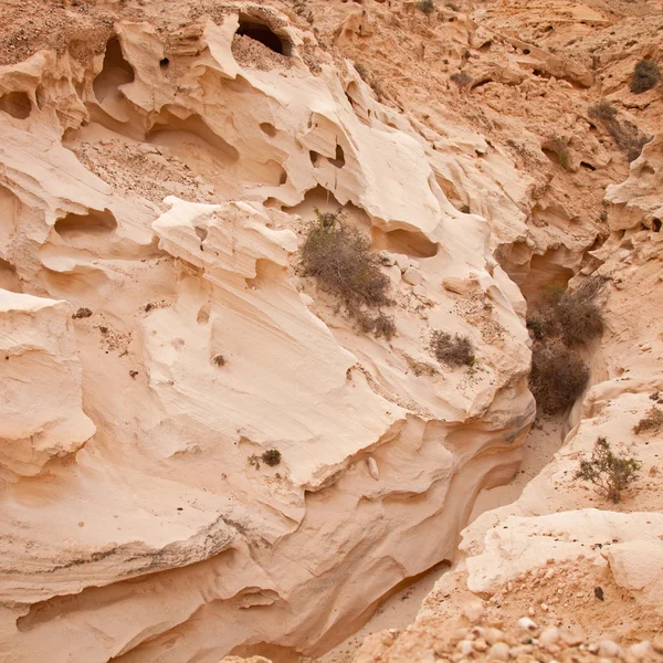 Norte de Fuerteventura Interior, barranco de los enamorados —  Fotos de Stock