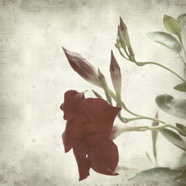 desenli eski kağıt arkaplan