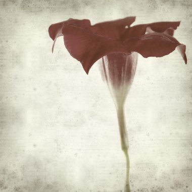 desenli eski kağıt arkaplan