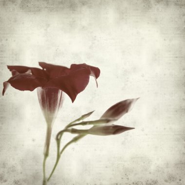 desenli eski kağıt arkaplan