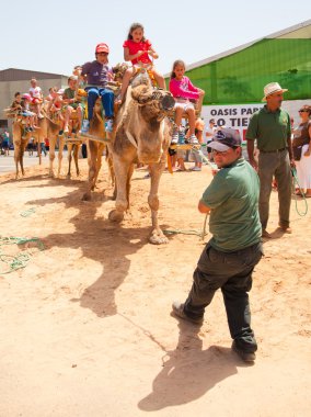 feaga 2013, fuerteventura, pozo zenci