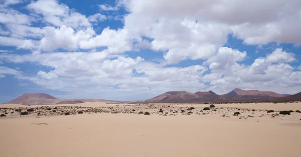 Norte de Fuerteventura, Corralejo dunas de areia — Fotografia de Stock