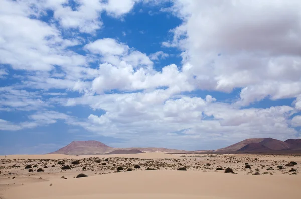 Norte de Fuerteventura, Corralejo dunas de areia — Fotografia de Stock