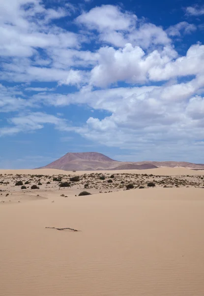 Dunas de arena del norte de Fuerteventura, Corralejo — Foto de Stock