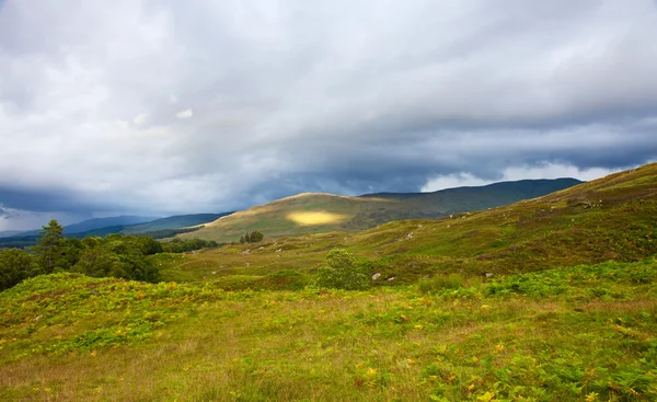 Paesaggio estivo scozzese — Foto Stock