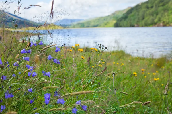 Schotse zomer landschap — Stockfoto