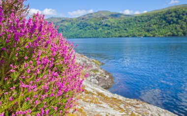 Loch Lomond