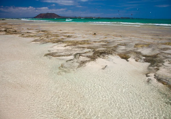 Βόρεια Fuerteventura, παραλία Corralejo Flag — Φωτογραφία Αρχείου