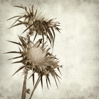 desenli eski kağıt arkaplan