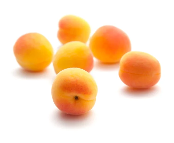 Kleine rijp abrikozen — Stockfoto