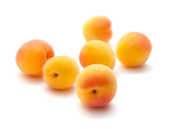 小成熟杏子 — 图库照片