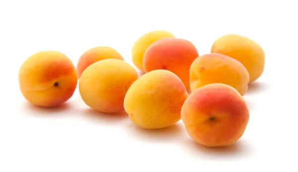 Kleine rijp abrikozen — Stockfoto