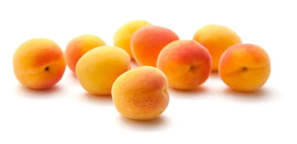 Невеликий стиглі абрикоси — стокове фото