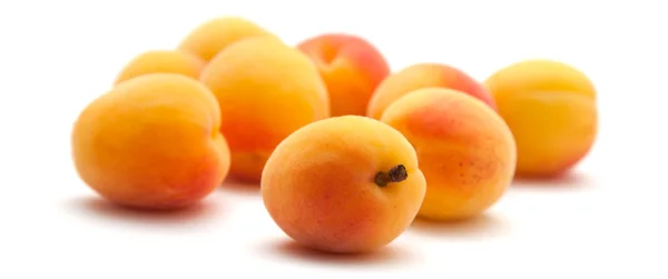 Malé zralé meruňky — Stock fotografie