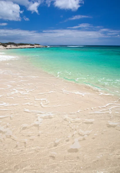 Fuerteventura, grandes playas — Foto Stock