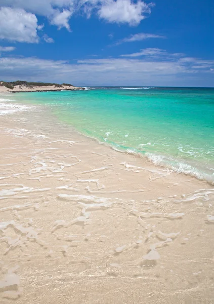 Fuerteventura, grandes playas — Stock Photo, Image