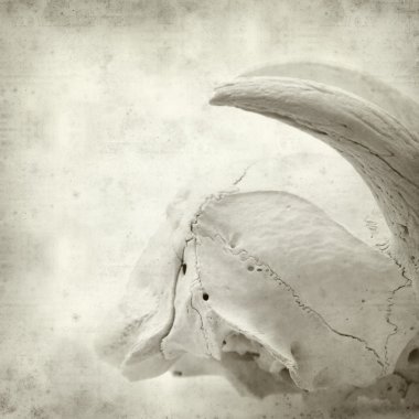 desenli eski kağıt arkaplan