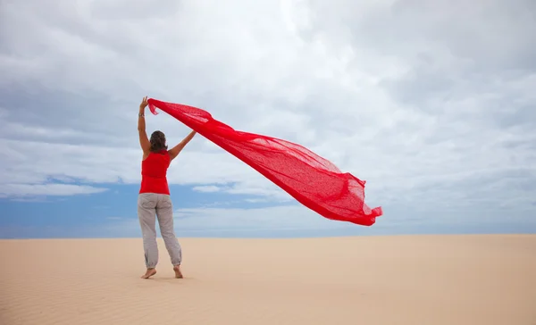 Wind in the dunes — Stock Photo, Image
