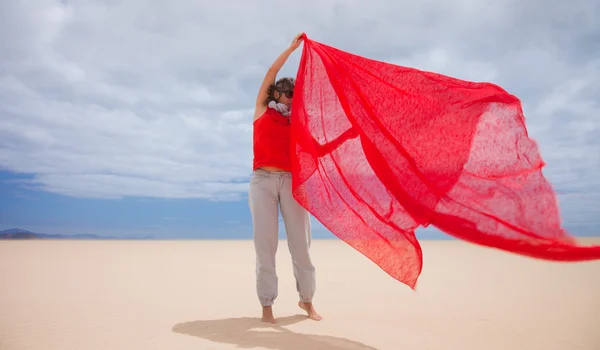 Vento tra le dune — Foto Stock