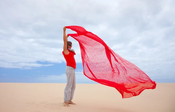 Wind in the dunes — Stock Photo, Image