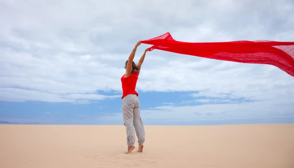 Viento en las dunas — Foto de Stock