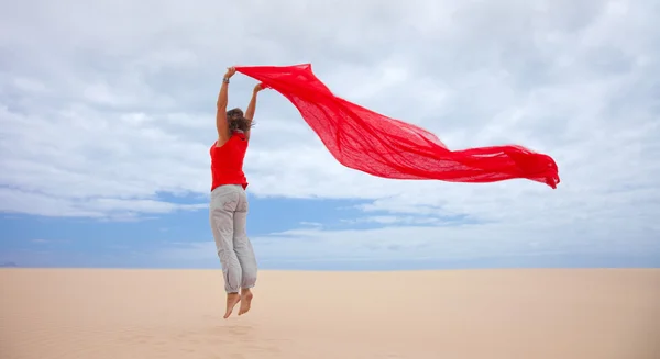 Viento en las dunas — Foto de Stock