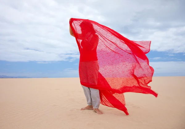 Wind in the dunes — Stock Photo, Image