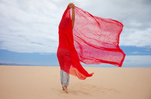 Vento tra le dune — Foto Stock