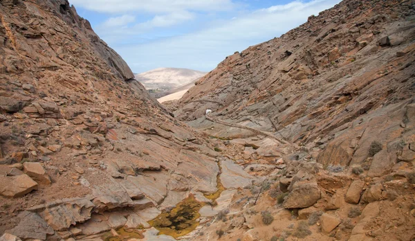 Fueretventura central, barranco de las penitas — Photo