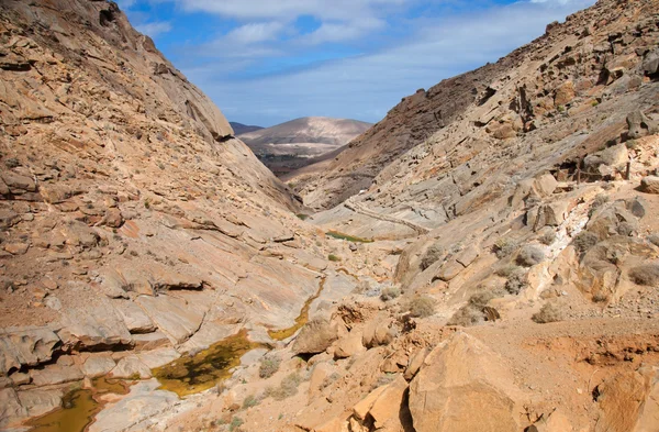 Centrum fueretventura, barranco de las penitas — Zdjęcie stockowe