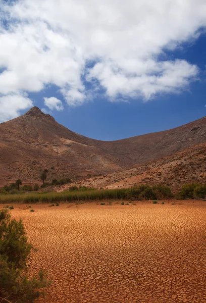 Centrum fuerteventura, barranco de las penitas — Zdjęcie stockowe